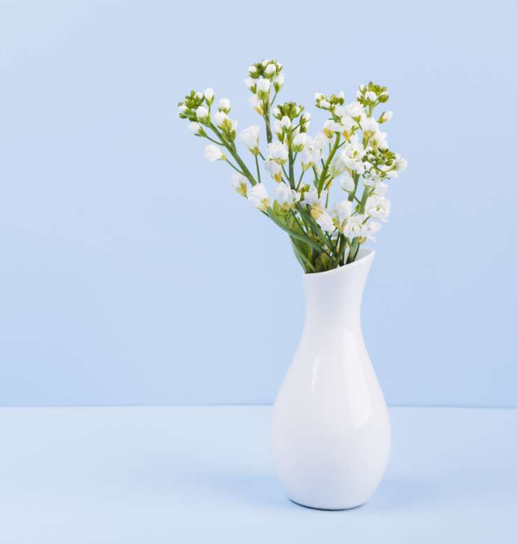 sidebar-img